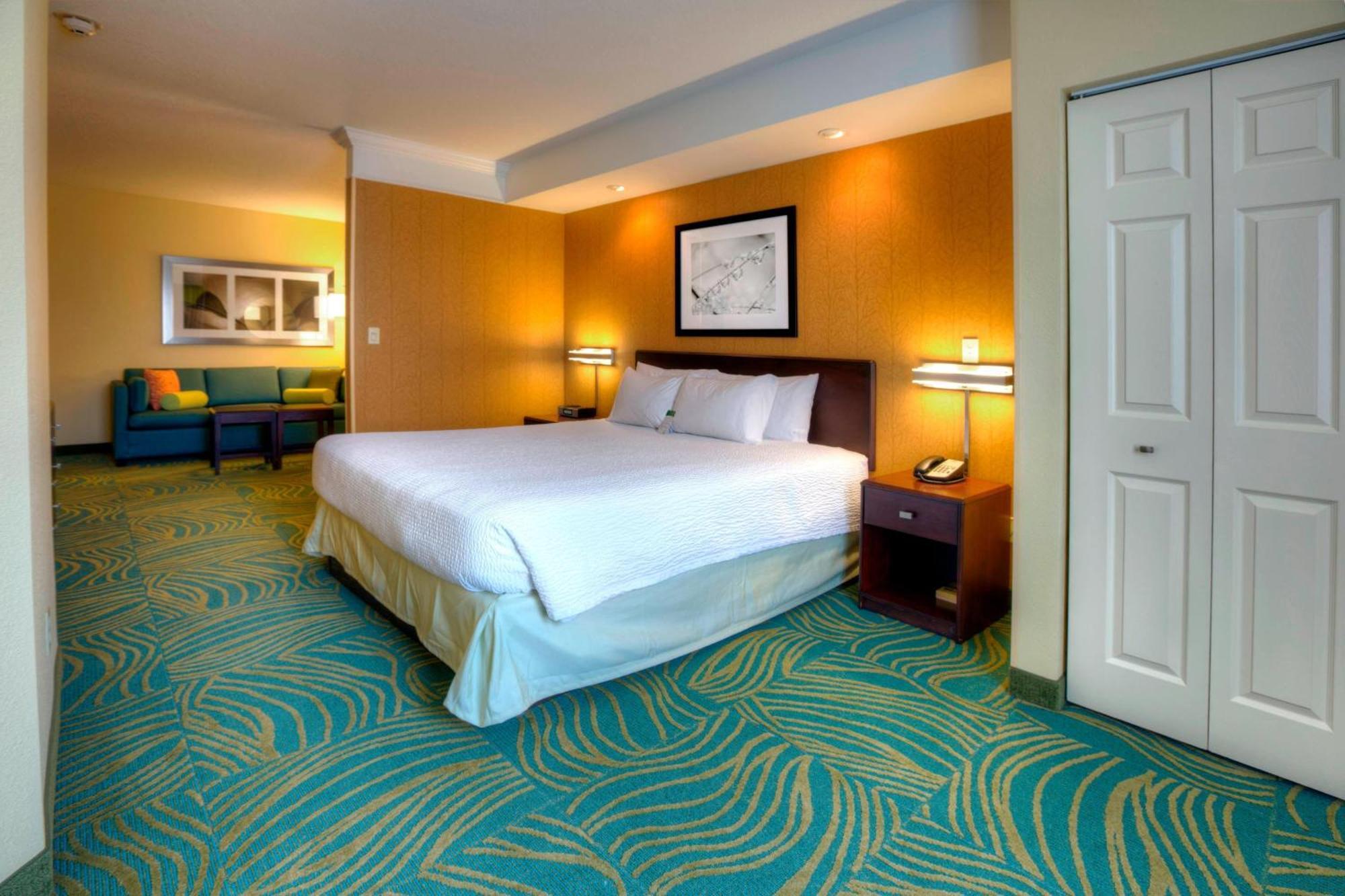 Springhill Suites By Marriott - Tampa Brandon Heartland Exterior foto